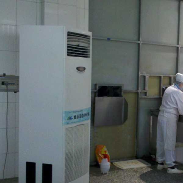 潍坊食品正负离子空气杀菌器